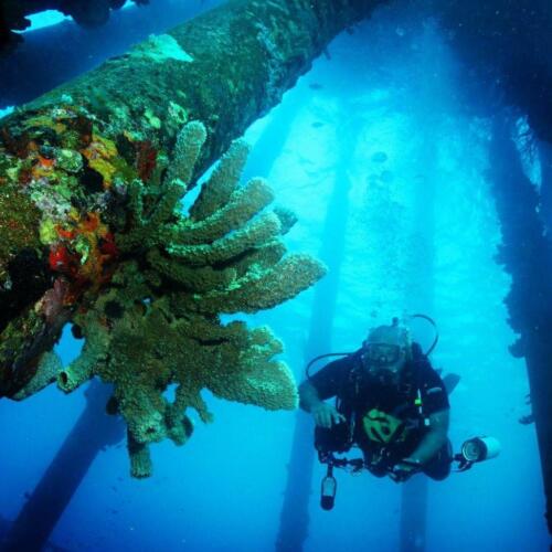 Salt Pier on Bonaire